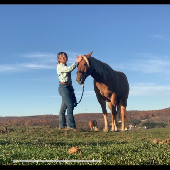 Meet your Posher, Emylie - Picture 1 of 1